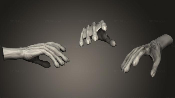 Анатомия скелеты и черепа (Гуманоидная Рука 9, ANTM_0733) 3D модель для ЧПУ станка